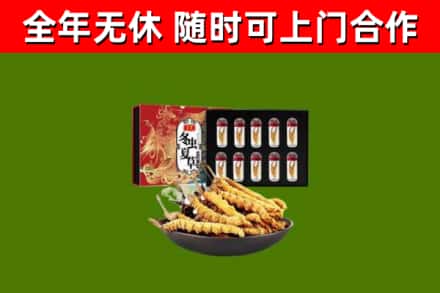 屯昌县回收冬虫夏草价格